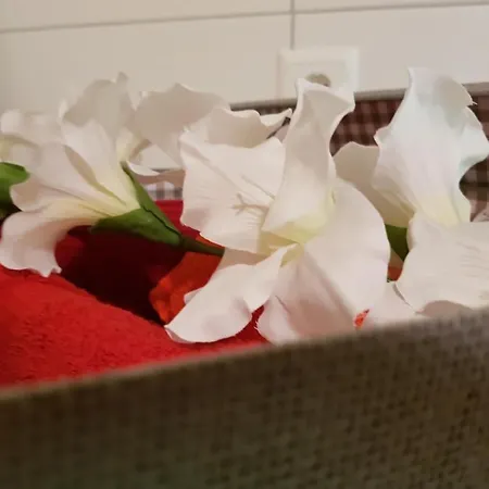 Ferien Im Gugger - Stockberg By Interhome * Nesslau