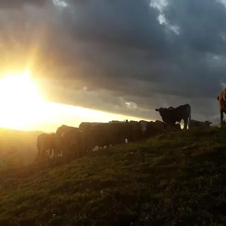 Ferien Im Gugger - Stockberg By Interhome * Nesslau