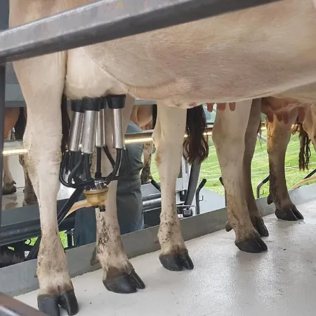Ferien Im Gugger - Stockberg By Interhome شقة
