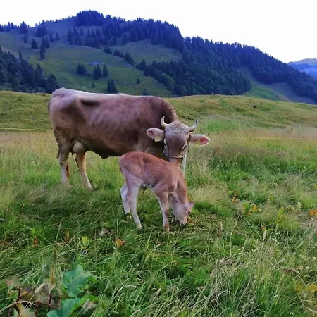 Ferien Im Gugger - Stockberg By Interhome *