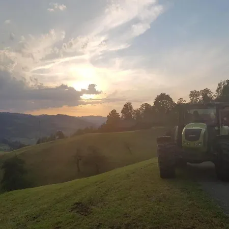 Apartment Ferien Im Gugger - Stockberg By Interhome