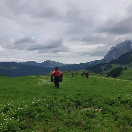 Ferien Im Gugger - Stockberg By Interhome Nesslau