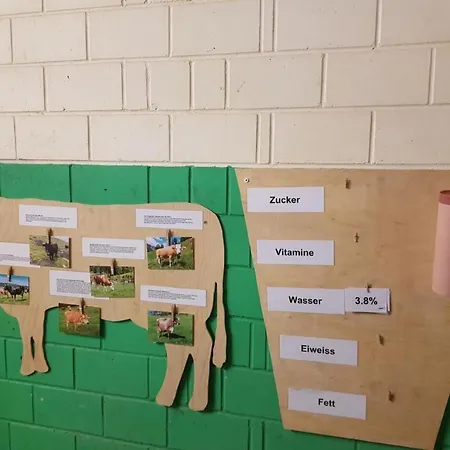 Ferien Im Gugger - Stockberg By Interhome Apartment *