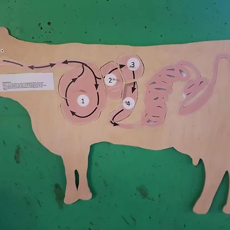 Ferien Im Gugger - Stockberg By Interhome Nesslau