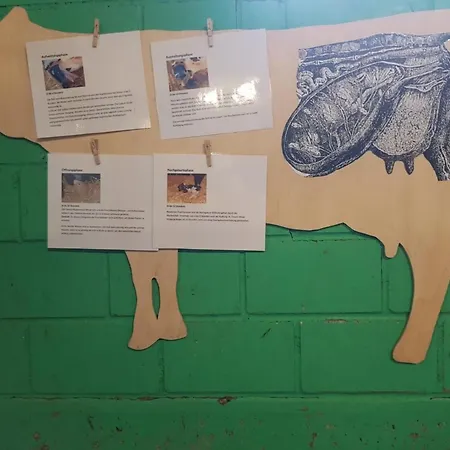 Ferien Im Gugger - Stockberg By Interhome Nesslau