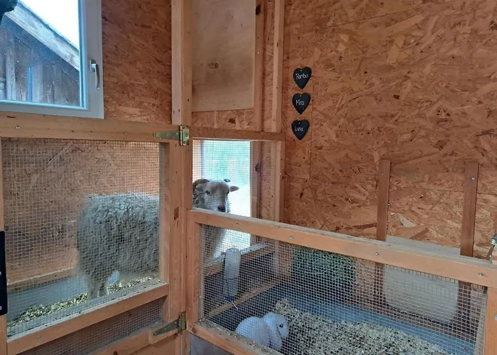 Ferien Im Gugger - Stockberg By Interhome * Nesslau