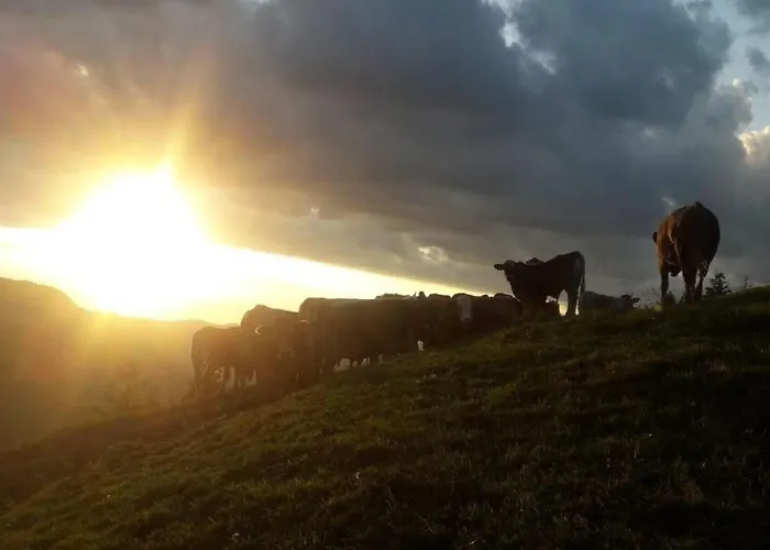 Ferien Im Gugger - Stockberg By Interhome * Nesslau