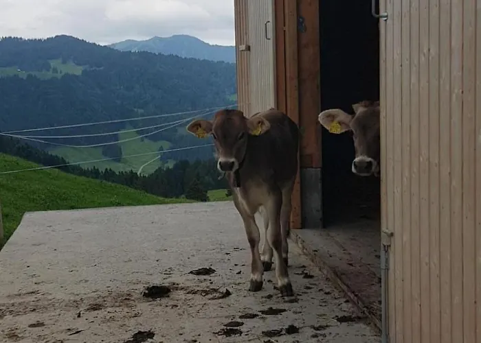 公寓 Ferien Im Gugger - Stockberg By Interhome Nesslau