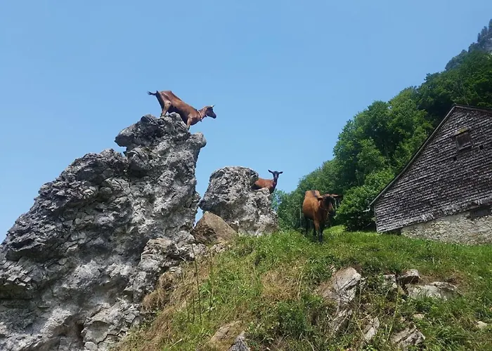 Ferien Im Gugger - Stockberg By Interhome