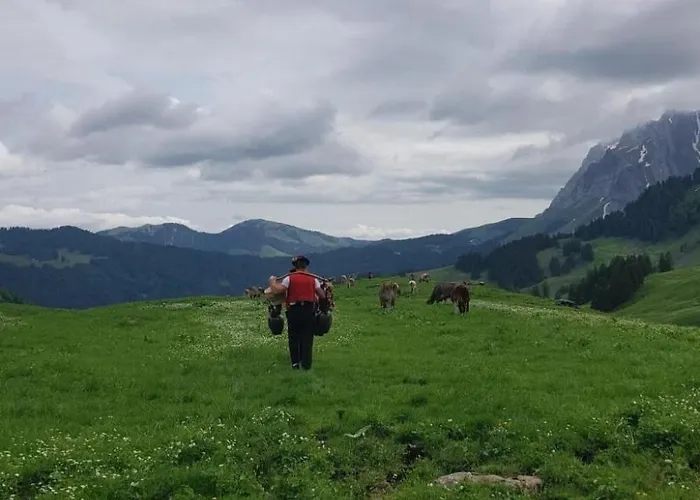 Ferien Im Gugger - Stockberg By Interhome Nesslau