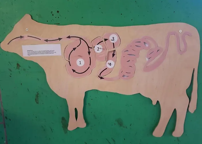 Ferien Im Gugger - Stockberg By Interhome Nesslau