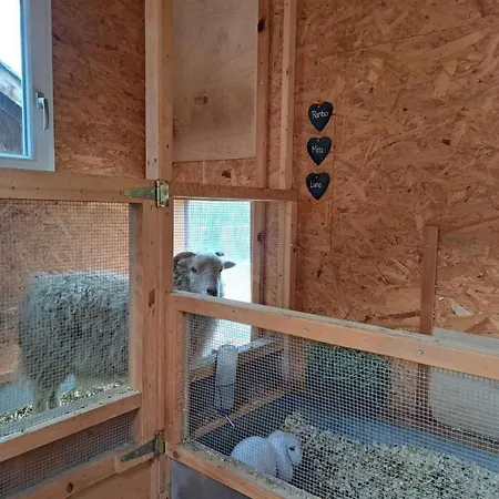 Ferien Im Gugger - Stockberg By Interhome * Nesslau