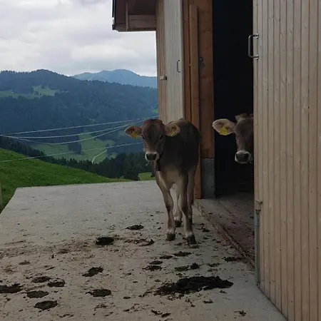 Apartament Ferien Im Gugger - Stockberg By Interhome Nesslau