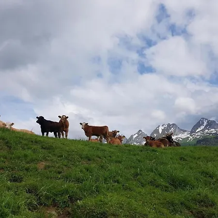 Ferien Im Gugger - Stockberg By Interhome * Nesslau