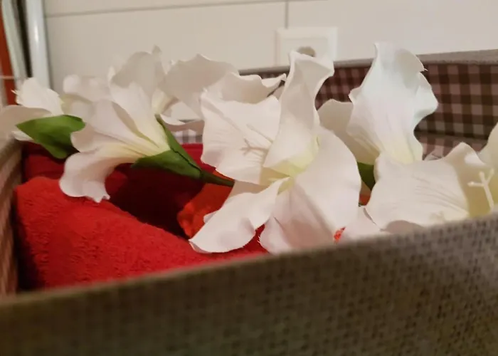 Ferien Im Gugger - Stockberg By Interhome * Nesslau