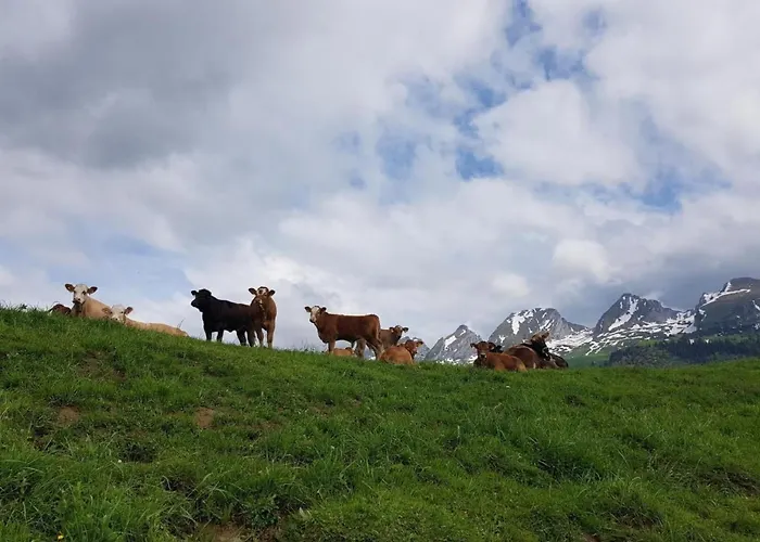 Ferien Im Gugger - Stockberg By Interhome * Nesslau